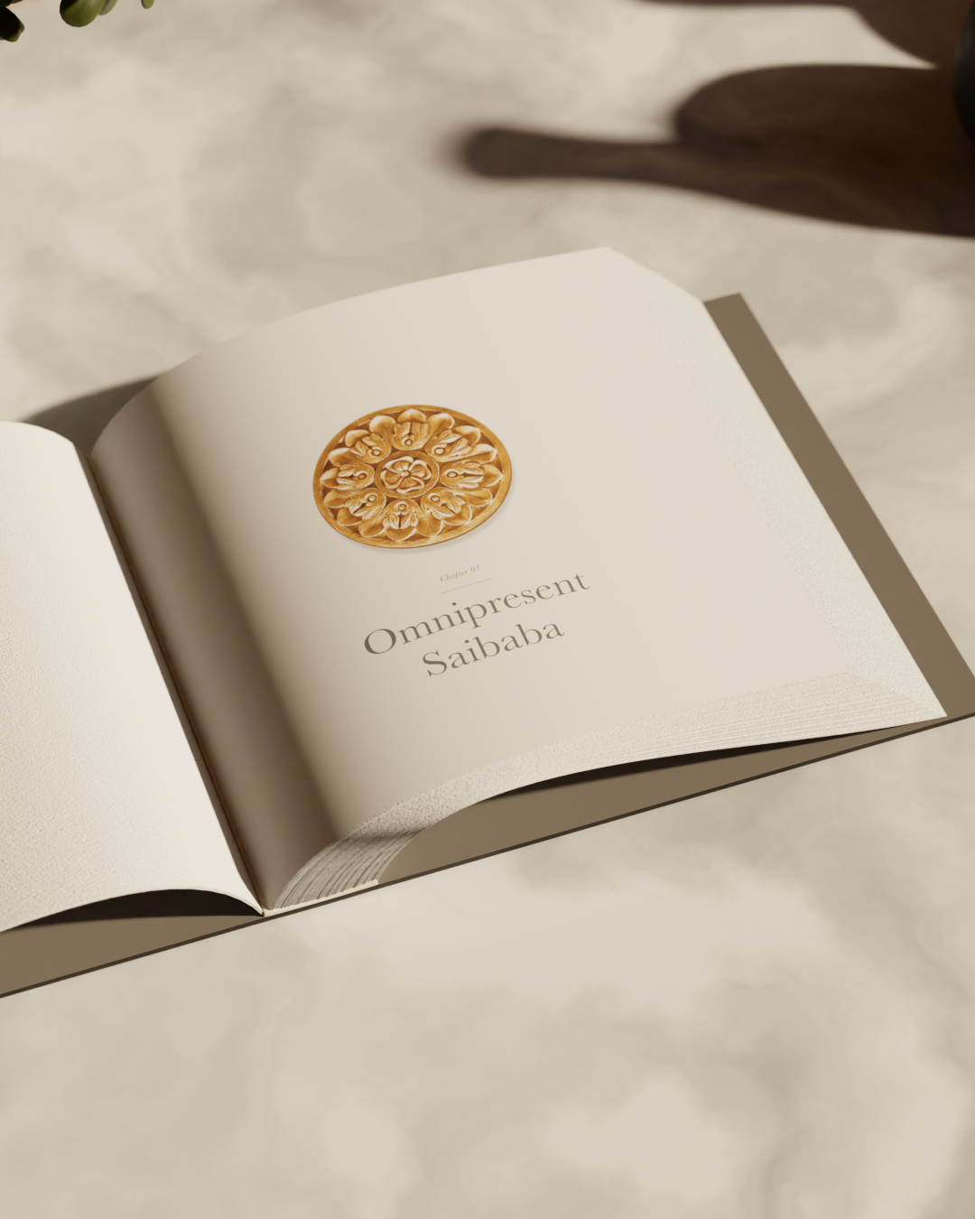 Shirdi: Footprints of the Fakir